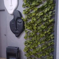 گرین وال آکاردونی