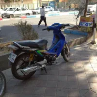 موتور بیکلاچ رادیسون