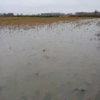 فروش زمین کشاورزی ۲هزار متری