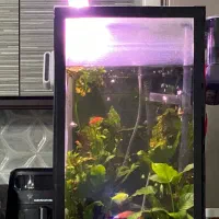 اکواریوم|ماهی|تهران, امام زاده عبدالله|دیوار