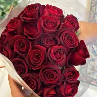 رز هلندی|گل و گیاه طبیعی|کرج, اصفهانی‌ها|دیوار