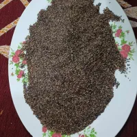 فروش کنجد عمده و خرده