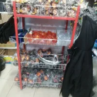 قفس چرخ دار|کتابخانه، شلف، قفسه‌های دیواری|سبزوار, جوادیه شرقی|دیوار