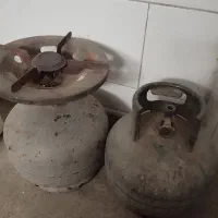 دوعدد پیتنیک سالم