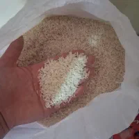 برنج ایرانی