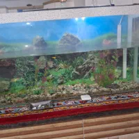 آکواریوم شیشه خم