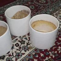 گلدان|گل و گیاه طبیعی|اهواز, فاز ۱ پادادشهر|دیوار