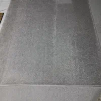پالاز موکت
