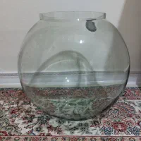 آکواریوم تنگ بزرگ