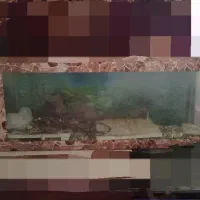 اکواریوم با پمپ هوا