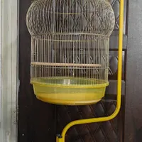 قفس پرنده