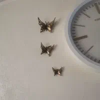 پروانه برنز وگوزن برنز