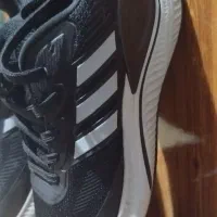 کتونی. آدیداس