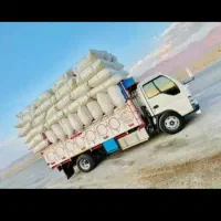 کاه گندم دیم