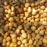 فروش 150کیلو انجیر  550
