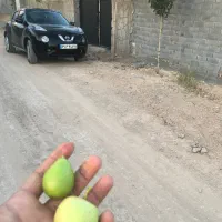 باغ ۵۳۰ متر دماوند