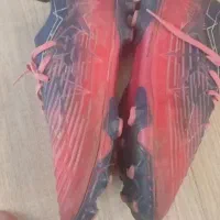 کفش استوک دار|کیف، کفش، کمربند|تهران, دریان‌نو|دیوار