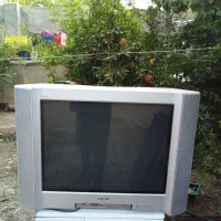 تلویزیون 21اینچ الجی|تلویزیون و پروژکتور|شهریار, دهشاد پائین|دیوار