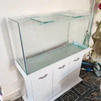 آکواریوم بزرگ طرح جدید