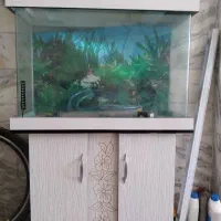 آکواریوم در حدنو|ماهی|اسلام‌شهر, مظفریه|دیوار