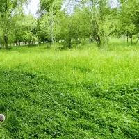 باغ 2500متری امن و زیباترین چشم انداز