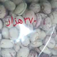 فروش عمده حبوبات درجه ۱ به ارزانترین قیمت