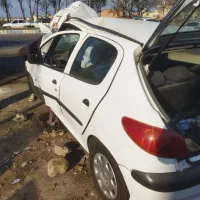 206مدل 95تصادفی از قبل بی رنگ