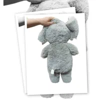 عروسک خارجی|اسباب‌‌بازی|شیراز, زرهی|دیوار