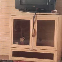 تلویزیون