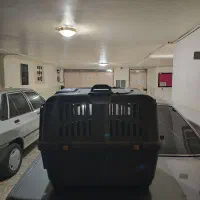 باکس حمل سگ و گربه|لوازم جانبی حیوانات|ری, حمزهآباد|دیوار