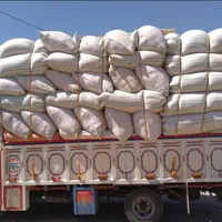 * کاه نیشکر خوراک دام ،کاه گندم دیم|لوازم جانبی حیوانات|میمه, |دیوار