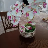گل مصنوعی|گل مصنوعی|نیشابور, بنیاد شهید|دیوار
