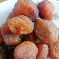 محصولات ارگانیک از باغ شهر اذربایجان|خوردنی و آشامیدنی|تهران, دانشگاه شریف|دیوار