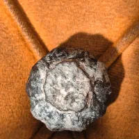 فسیل خشخاش عتیقه|کلکسیون اشیاء عتیقه|مشهد, رده|دیوار