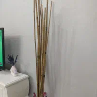 چوب بامبو تزئینی