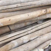 تیر چوبی|مصالح و تجهیزات ساختمان|خاوه, |دیوار