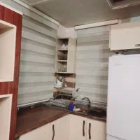 دوعدد پرده زبرا