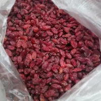 زرشک|خوردنی و آشامیدنی|مشهد, هنرستان|دیوار
