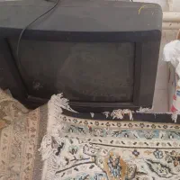 تلویزیون
