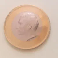 دوعددسکه پهلوی وقاجار  دوتیکه وخیلی کم یاب|کلکسیون سکه، تمبر، اسکناس|سبزوار, توحیدشهر|دیوار