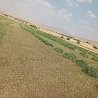 یونجه|عمده‌فروشی|بلبان آباد, |دیوار