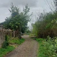 زمین مسکونی