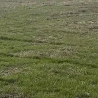 ۳۰۰ مترشهرستان سرعیین