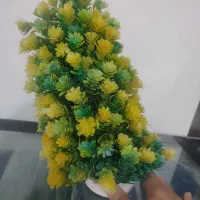 آکواریوم سالم بزرگ|ماهی|تبریز, |دیوار