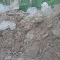 کود حیوانی