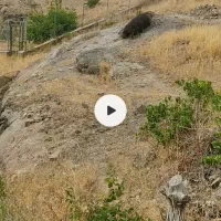 2100متر-زمین-باغی-آقچری