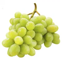 فروشنده و شاگرد سوپری