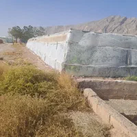 فروش و اجاره گلخانه
