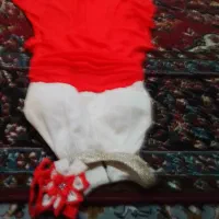 دوچرخه|دوچرخه، اسکیت، اسکوتر|لاران, |دیوار