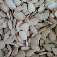 بادام+|خوردنی و آشامیدنی|قم, باسکول|دیوار